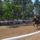 Bor és laskafesztivál - II