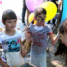 Együtt nap Cegléden