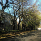 Halló Cegléd - Rákóczi út