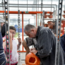 Családi tökfaragás az Oázis Kertészetben