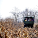 Vadak karácsonya Nyársapáton