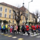 Pest Megyei Futó- és Gyaloglónap