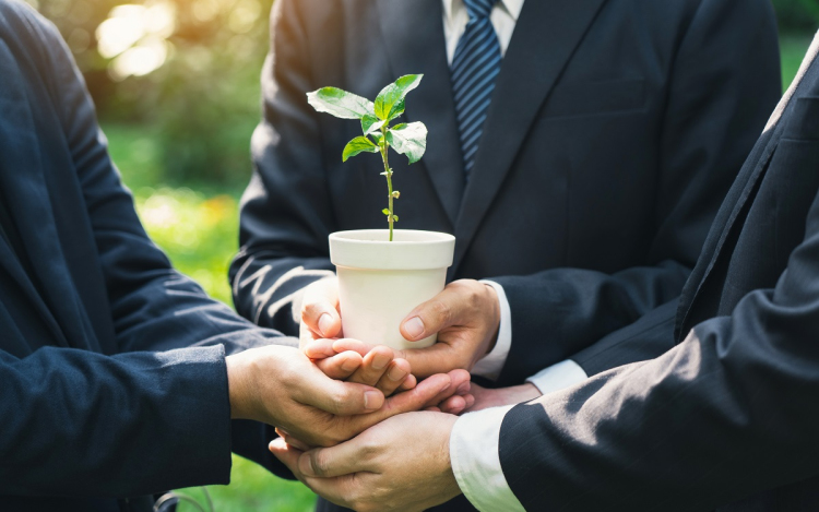 A bizalmi vagyonkezelés gyakorlati buktatói és jogi kockázatai