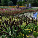 Kováts Zoltán Emlékülés Csemőben