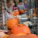 Családi tökfaragás az Oázis Kertészetben