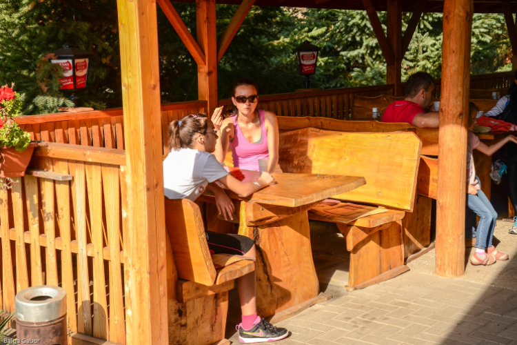 Tájékozódási kerékpártúra - Albertirsai kör