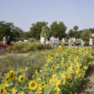 Kováts Zoltán Emlékülés Csemőben