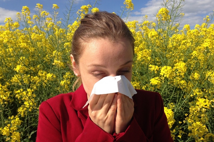Kezdődik a pázsitfűfélék pollenszórása