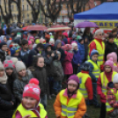 Pest Megyei Futó- és Gyaloglónap