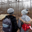 Vadak karácsonya Nyársapáton