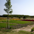 Kováts Zoltán Emlékülés Csemőben