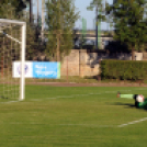 CEGLÉDI VSE–PUSKÁS AKADÉMIA 2–2 (1–1)