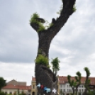 Gyermeknapi meglepetés a Szabadság téren