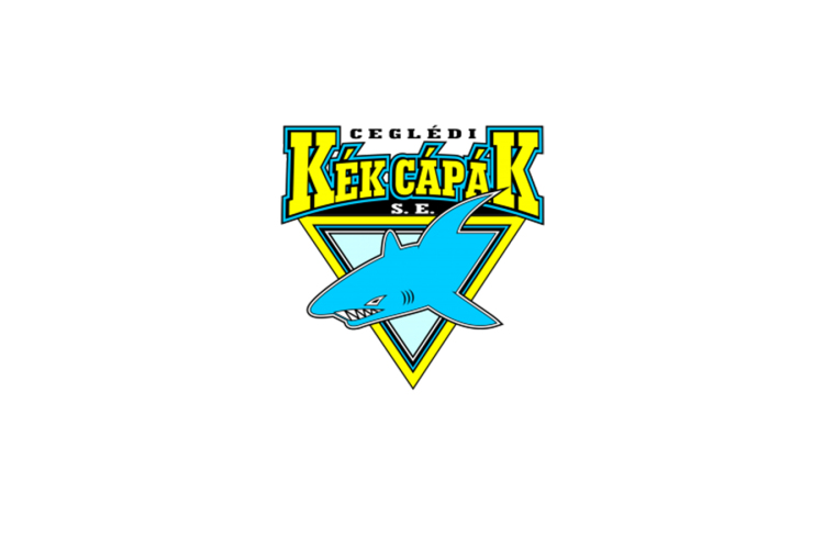 Nem bírtak az Érddel a Cápák