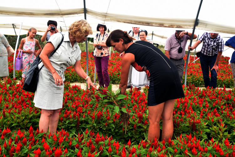 Csemő díszpolgárára emlékeztek