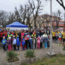 Pest Megyei Futó- és Gyaloglónap