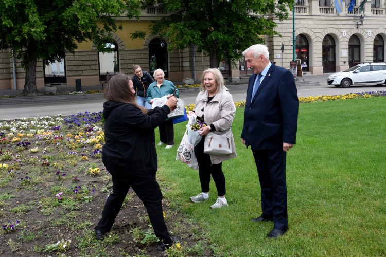 Ments meg egy árvácskát!