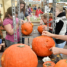 Családi tökfaragás az Oázis Kertészetben