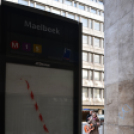 Brüsszel egy ceglédi objektíven keresztül