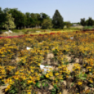 Kováts Zoltán Emlékülés Csemőben