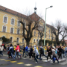 Pest Megyei Futó- és Gyaloglónap