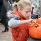 Családi tökfaragás az Oázis Kertészetben