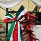 Egészségnap Cegléden