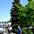 25. Dél-Pest Megyei Anyák Napi Virágvásár és Anyám Tyúkja Főzőfesztivál