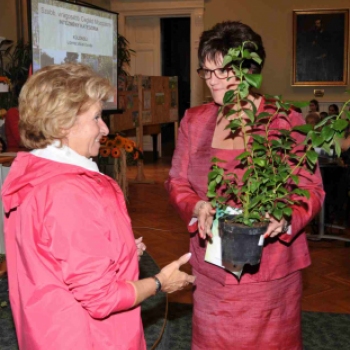 Környezetvédelmi program díjátadó