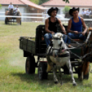 Laska fesztivál - szombat délelőtt