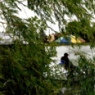 Pünkösdi horgászverseny