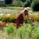 Kováts Zoltán Emlékülés Csemőben