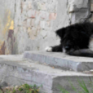 Bontják a Cséri telepet