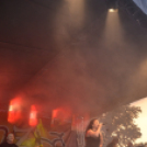 Bor és laskafesztivál - II