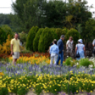 Kováts Zoltán Emlékülés Csemőben