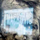 Markovics Ferenc kiállítása Pesten