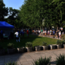 Megyei futó- és gyalogló nap