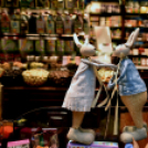 Brüsszel egy ceglédi objektíven keresztül