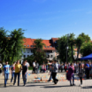 Autómentes nap Cegléden