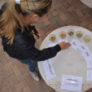 Rózsák Hétvégéje - Oázis Kertészeti Áruház