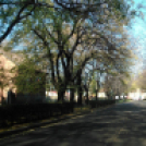 Halló Cegléd - Rákóczi út