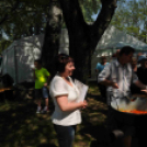 Csemői - Anyám tyúkja