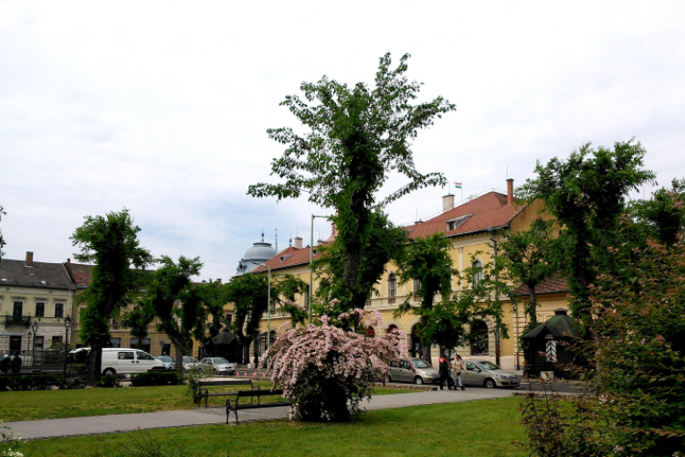 Tavasz a Szabadság téren