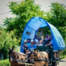 Nyitott Pince Napok - lovaskocsik