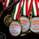 Sysman Open Nemzetközi Karateverseny