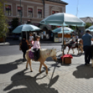 Kossuth Toborzó Ünnepély és Huszárfesztivál