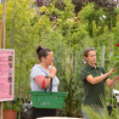 Rózsák Hétvégéje - Oázis Kertészeti Áruház