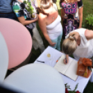 Isten éltesse Doktor úr! 