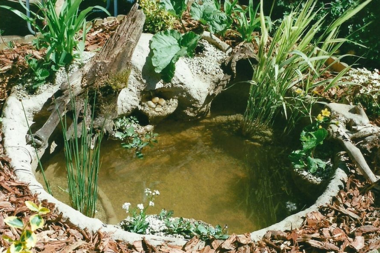 Teendők a tél előtt!