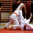 Judo Országos Bajnokság Cegléden